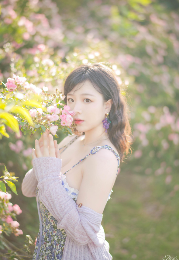 皮皮奶可可爱了啦 NO.065 蔷薇花 【37P788M】
