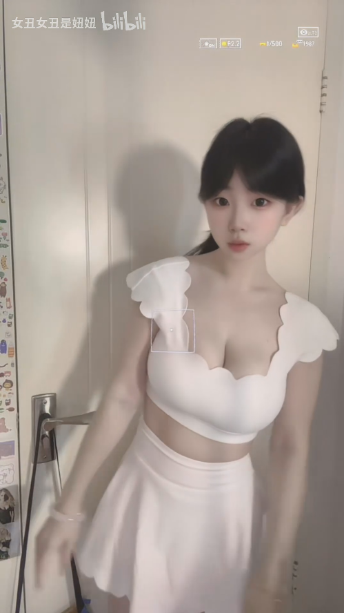 【新】b站抖胸擦边up主女丑女丑-充电视频合集【121V】【2.45G百度云】