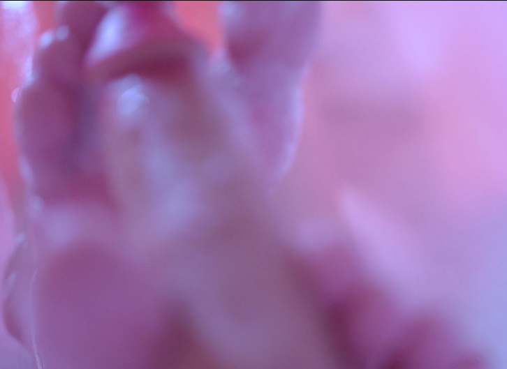 极品樱花妹-neko03-of完整原版 断奶季（Cuddling Season）（1V,765M）