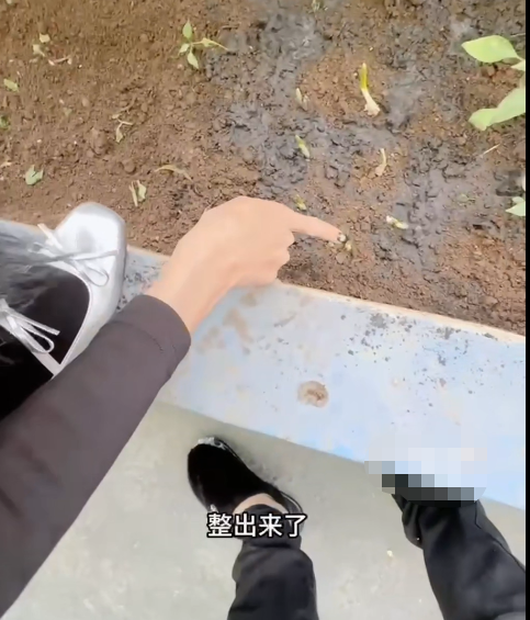 极品骚御姐-小姨子的秘密-剧情演绎新 今天带小姨子上天台去看我们种的花草(1V,1.02G)