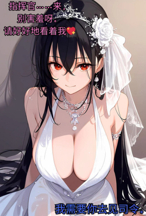 [DazzleVwj] bbc上门服务 [252P/379M]