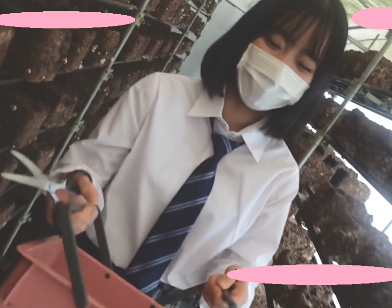 校服女孩一部
