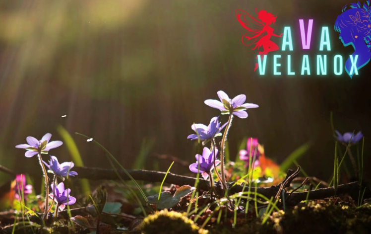 [亚洲风SLG/汉化] 阿瓦维拉诺克斯 AVA Velanox v1.2 [PC+安卓/1.5G]