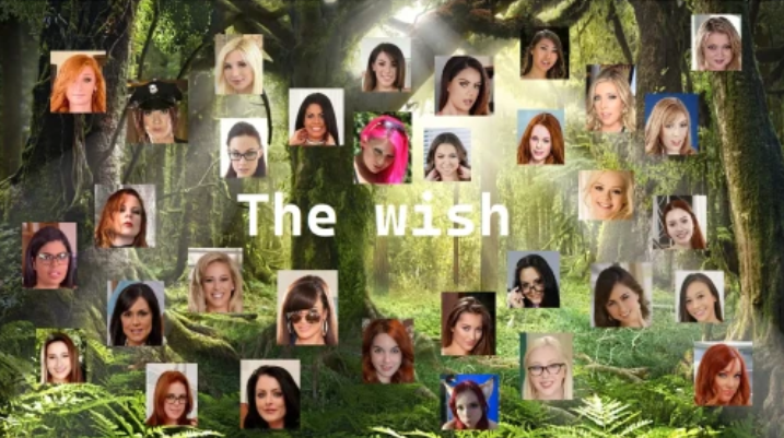 [欧美RPG/汉化] 愿望 The Wish v0.41 [PC+安卓/1.8G]