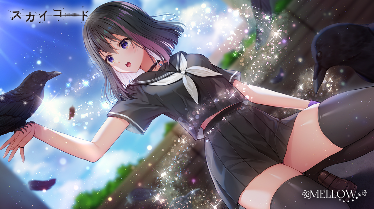 【日式ADV】[波子汽水汉化组]スカイコード  天之和弦 Ver1.01 汉化硬盘版