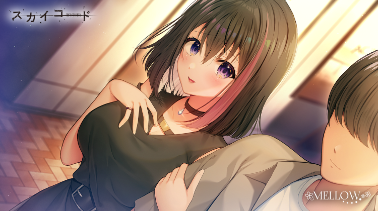 【日式ADV】[波子汽水汉化组]スカイコード  天之和弦 Ver1.01 汉化硬盘版