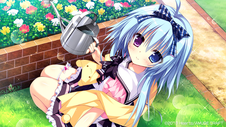 【日式ADV】[破琵琶生产公社]夏色心跳日志 汉化硬盘版