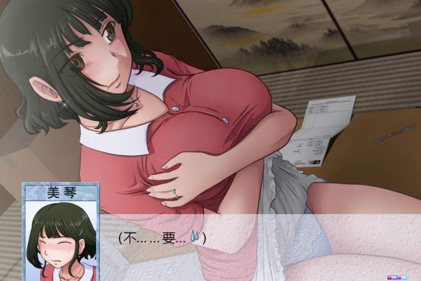 [日式ADV/汉化] 某对夫妇的还款计划 とある夫婦の返済計画 v2.08[PC/820M]