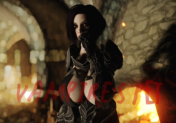 Skyrim4ever：Vampires pet[2G]