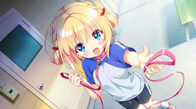 【日式ADV】与恋爱初次见面 Ver1.1 汉化硬盘版
