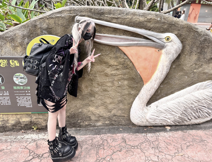 【承受能力差的别看】樁山民子 Maorou_K8M 推特巨乳纹身穿孔地雷妹 11、12月订阅合集 【34P 51V 106MB】
