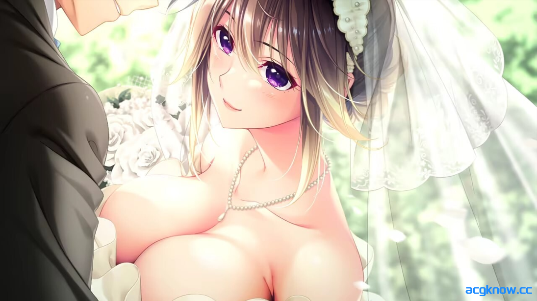 [PC][日系拔作ADV/汉化/后宫]与爆乳护士调情的色色住院生活 AI汉化版+全CG存档[3.82G/CV]