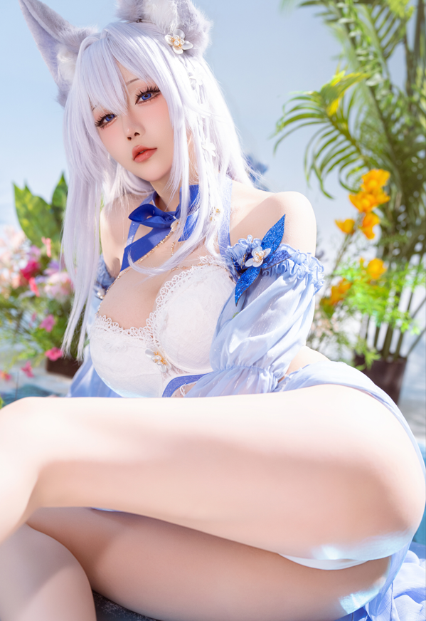 星之迟迟 NO.264 2026年1月计划C 碧蓝航线 信浓泳装 【52P211M】