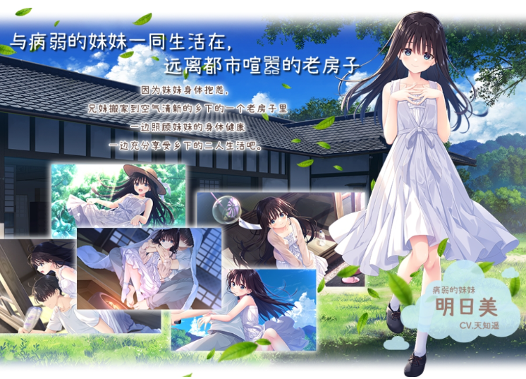 【爆款RPG】[妹系]痴情哥哥与病弱妹妹的乡间生活 Ver1.02 DL官方中文版 DLC1-5