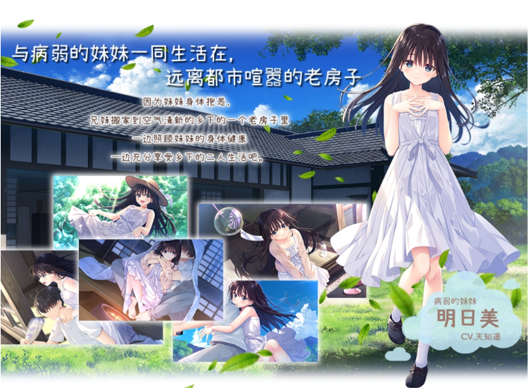 【爆款RPG】[妹系]痴情哥哥与病弱妹妹的乡间生活 Ver1.0 Steam官方中文步兵版[0328]Append1+4