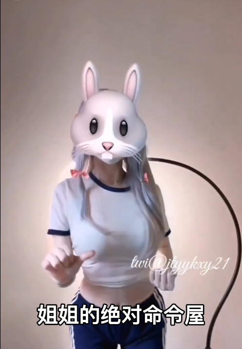 姐姐的绝对命令 1V0.99G百度盘