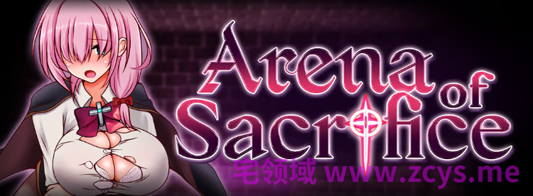 【日式ACT】Arena of Sacrifice Steam官方中文步兵版