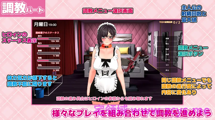 【日式SLG】復讐 progressive Ver1.00 AI汉化版[新作]