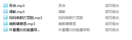 NO.1618 妮可船长 尺度音声 5A