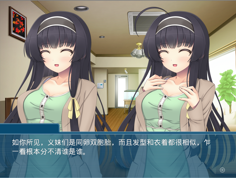 【拔作ADV】ふたいもデイズ~おにいちゃん、ナイショでシよ♪~AI汉化版