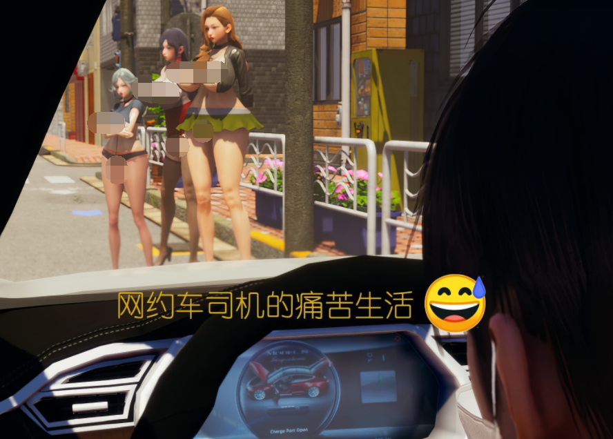 网约车司机的痛苦生活[99P/40M]
