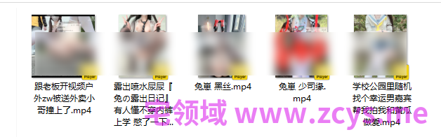 兔崽tuzaibaby兔の露出日记最新5v长+7v短