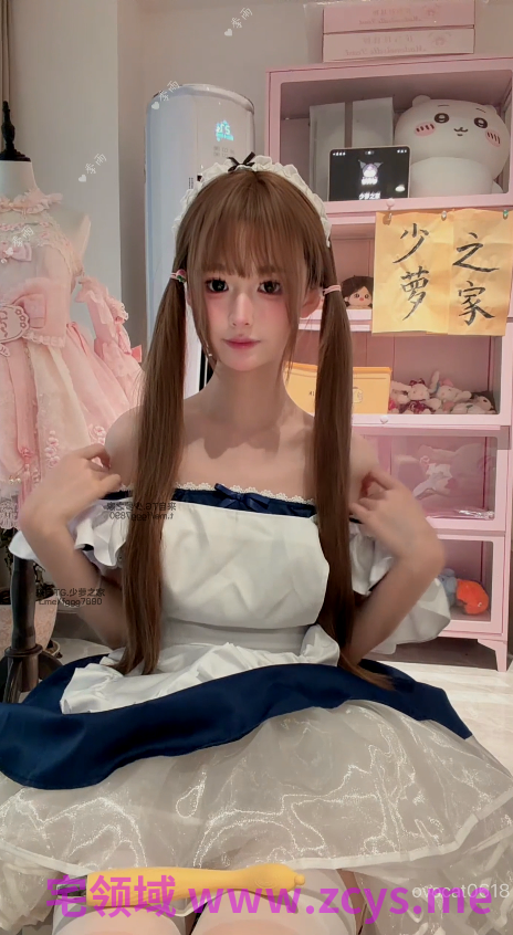 季雨 ovocat0618 2500私定版双马尾白丝女仆装自慰 【6V 2.6GB】
