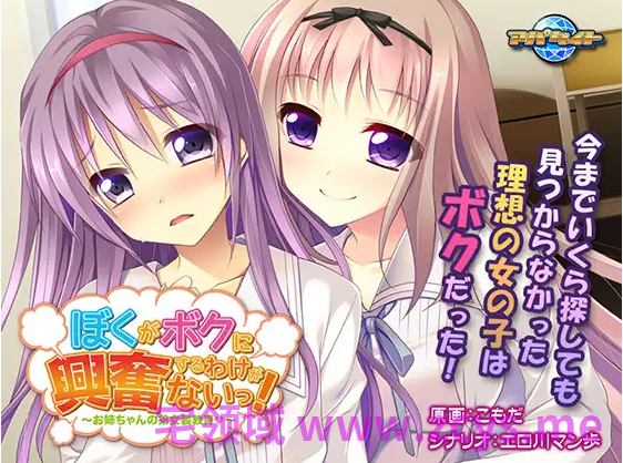 【拔作ADV】ぼくがボクに興奮するわけがないっ! ~お姉ちゃんの弟女装教育~AI汉化版