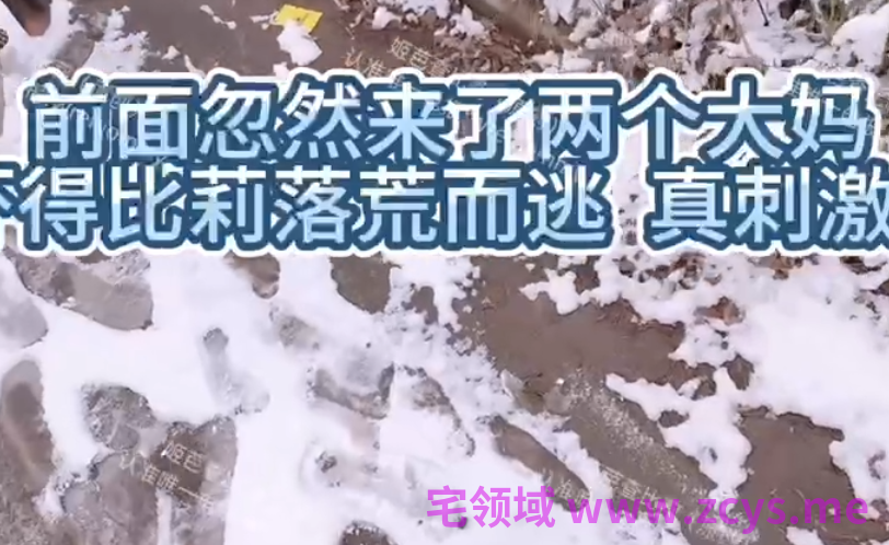 超人气极品整活骚鸡-姬芭查比莉-付费小合集 新（5V,250M）