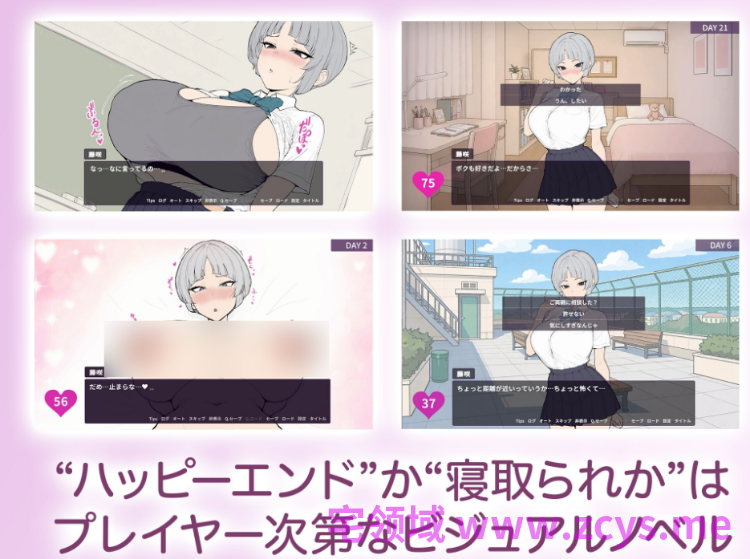 【互动SLG】よわよわ乳首な王子様系彼女はすぐNTRれるッ！DL版[生肉]