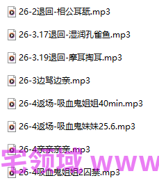 桥桥超温柔  4月舰 455M百度盘