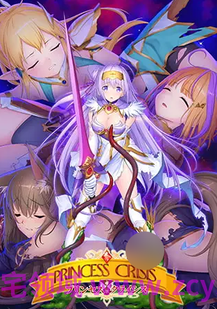 【拔作ADV】プリンセスクライシス AI汉化版