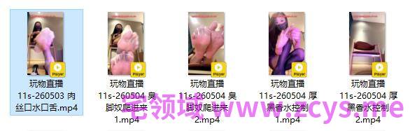 玩物直播11s-260503+260504 五部合集【5V】【2.16G百度云】