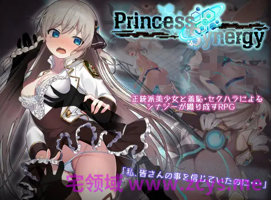 【爆款RPG】プリンセスシナジー Ver1.0.28 AI汉化修复版