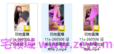 玩物直播11s-260506 出了好多脚汗+没有丝袜脚硬的起来吗【3V】【1.26G】