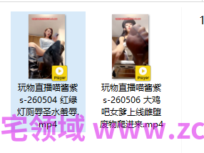 玩物直播喵酱紫s-260504+260506【2V】【992MB百度云】