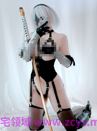 推特福利姬ayame cos2b自慰【33P+3V】