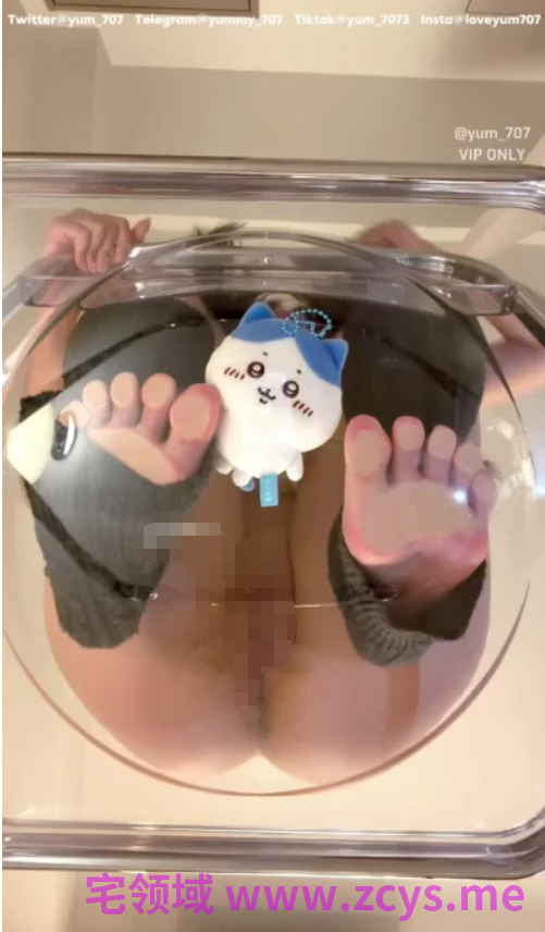 推特【 yum_707/玉米】最新VIP专享 救救小八 大屁股坐脸上 [1v+385m][百度盘]