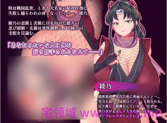 【日式SLG】くノ一綾乃調教録 ー敵に囚われた女忍の二十日間ー AI汉化版