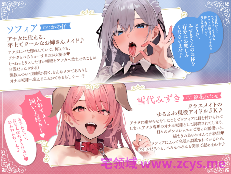 【ASMR】[简体中文版]欺负你的现役偶像JK被冷艳的女仆调教成飞机杯奴〇之后，开始甜蜜的后宫性活的故事