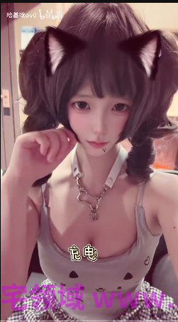NO.2145 狗修巾（哈基咪）B站充电合集 164P 43V 1.18G