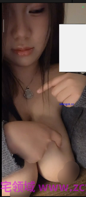 抖音巨乳肉感嫩妹-白豆腐-1对1自摸福利（1V,360M）