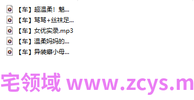 是喵宝呀 中文音声剧情【车系列】异装癖小母狗+女优实录 【5A141M】