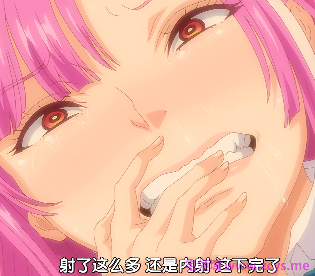 じゅうしぃまんご～OVA パイハメ家族 ＃1-2部.800m 2V