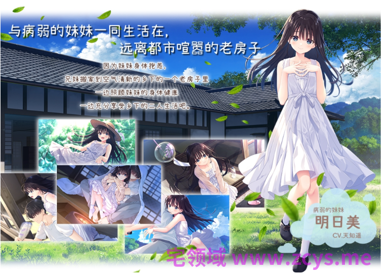 【爆款RPG】[妹系]痴情哥哥与病弱妹妹的乡间生活 Ver1.0 Steam官方中文步兵版[0627]Append1+5