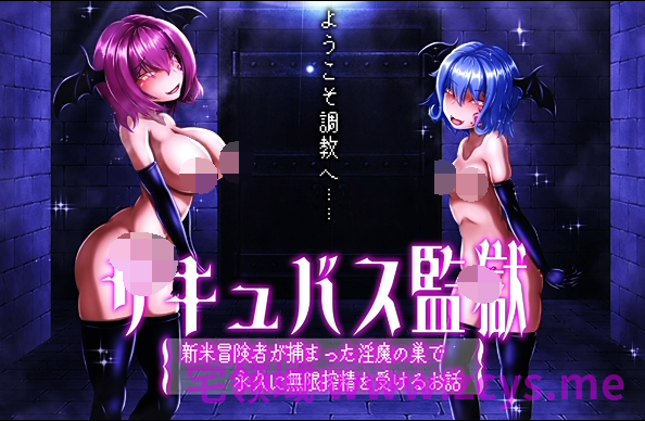 [びおらんて] 魅魔淫狱：落入淫魔巢穴的菜鸟冒险者，永世沦为无限榨精的专用精壶 [1.2G]