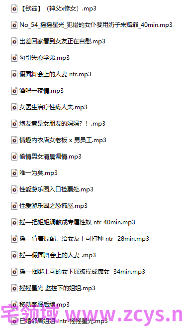 摇摇星光 18+音频合集  796M百度盘