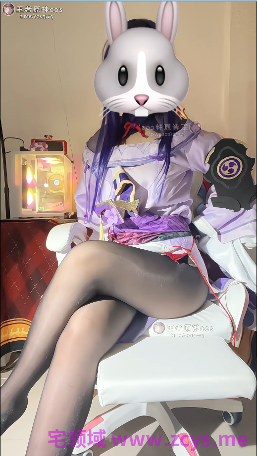 奈奈 雷电将军 1V401M  P盘