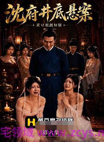 沈府密事第六集[210M]