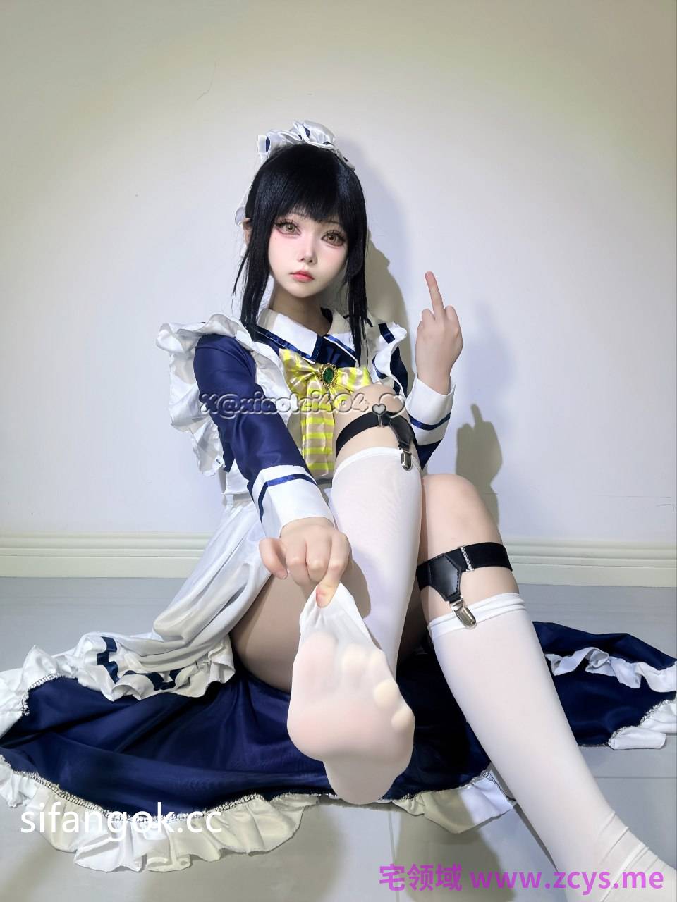 希尔薇 39套  903p 333mb
